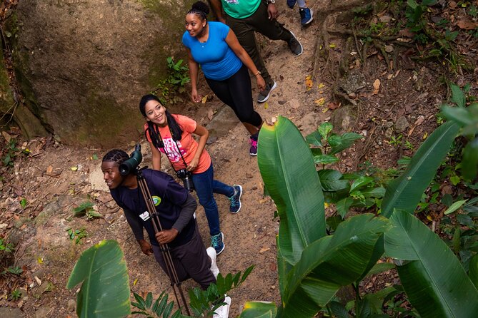 St Lucia Jacquot Trail Hike at Rainforest Adventures - Pricing and Cancellation