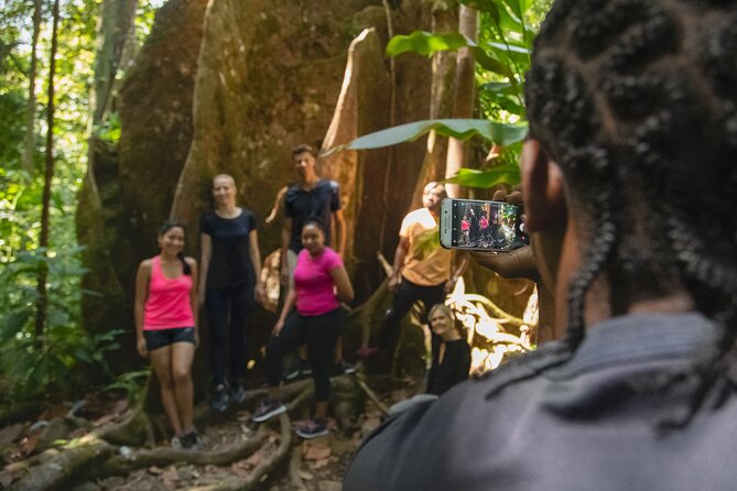 St Lucia Jacquot Trail Hike at Rainforest Adventures - Transportation Options