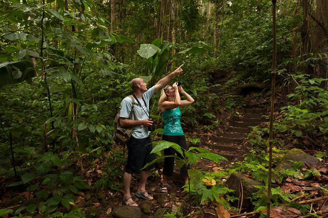 St Lucia Jacquot Trail Hike at Rainforest Adventures - Highlights of the Tour