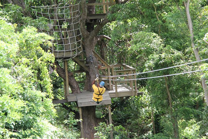 St. Lucia Morne Coubaril Estate Zipline Experience - Family-Friendly Details