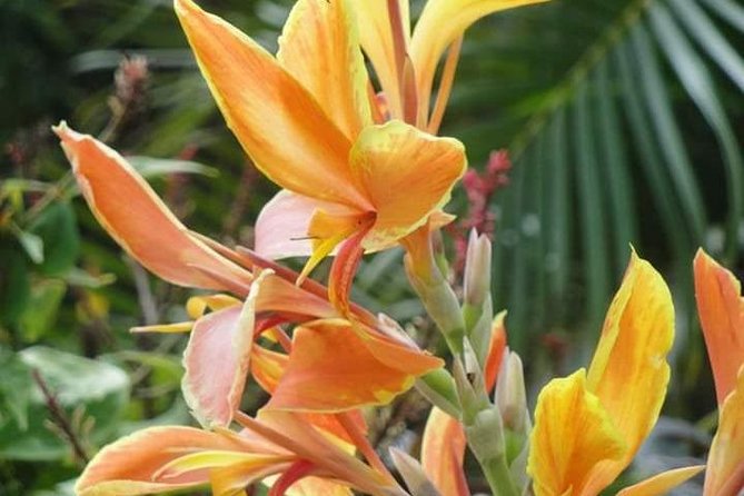 St Lucia Northern Island Tour - Pickup and Meeting Details