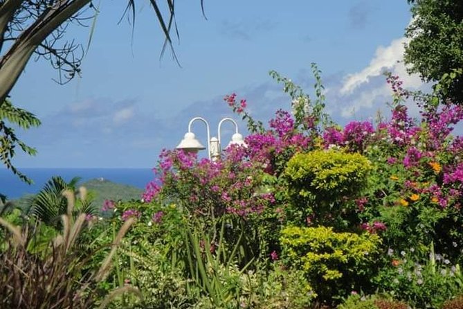 St Lucia Northern Island Tour - Exploring the Northern Region