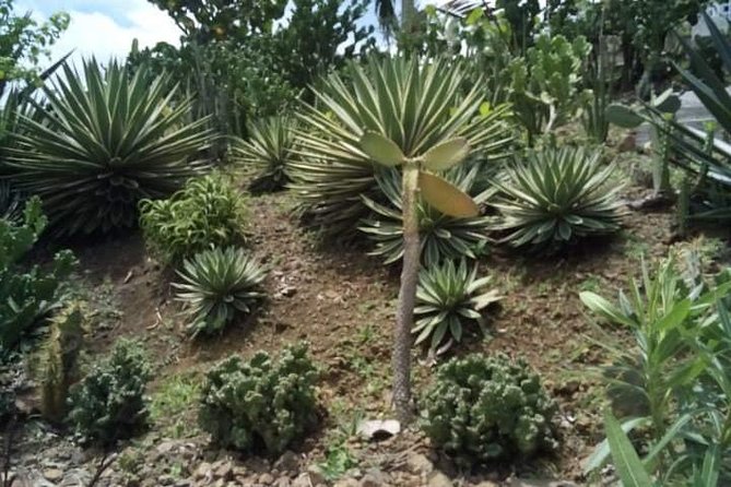 St Lucia Northern Island Tour - Stunning Island Vistas