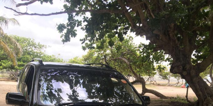 St Lucia: Private Airport Taxi Service - Frequently Asked Questions