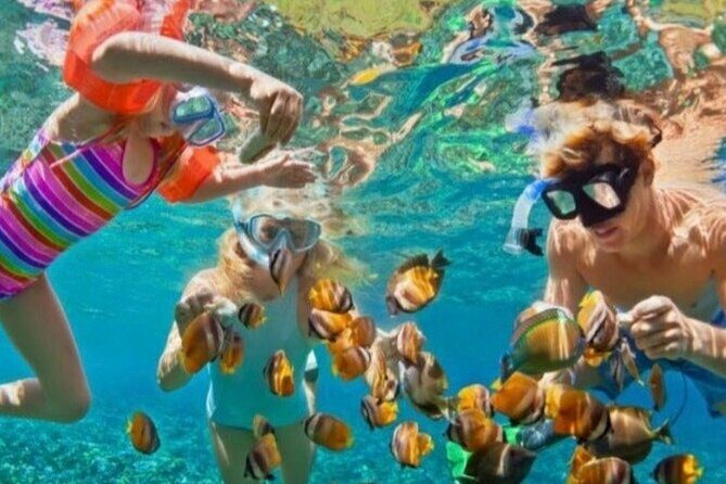 St Lucia Private Boat Tour/Sightseeing/Snorkeling - An In-Depth Look at the St. Lucia Private Boat Tour