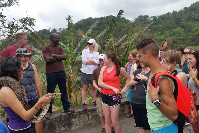 St Lucia Private Island Tour - Accessibility