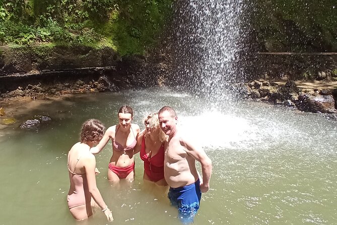 St. Lucia Private Island Tour (Groups of 4) - Tour Group and Duration