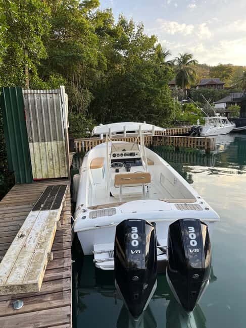 St Lucia: Private Speed Boat Tour from Castries - Final Thoughts