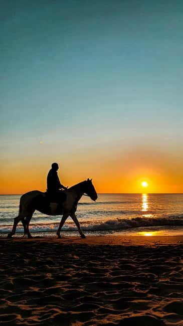 St Lucia: Private Sunset Beach Horse Ride + Pickup available - Final Thoughts