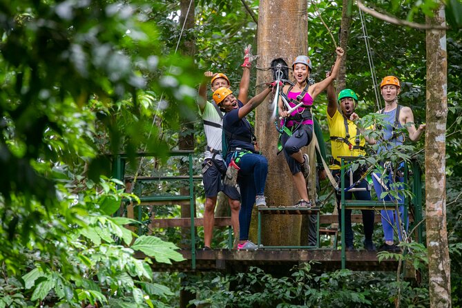 St Lucia Rainforest Canopy Zip Line Adventure - Pickup and Meeting Information
