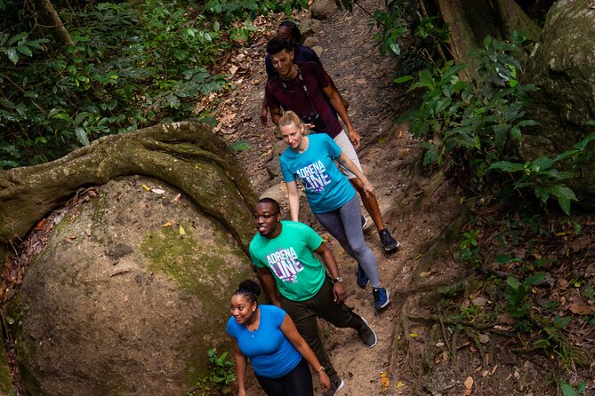 St Lucia Rainforest Canopy Zip Line Adventure - Health and Fitness Requirements