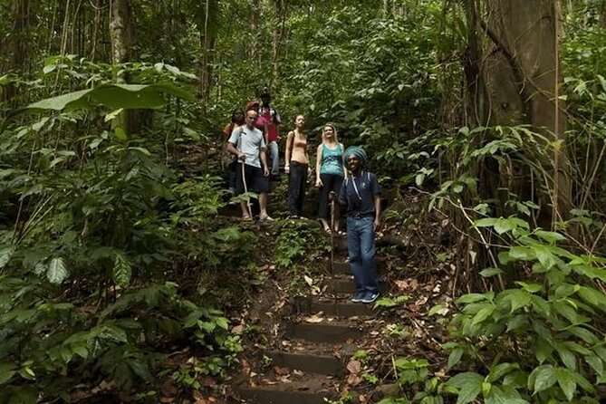 St Lucia Rainforest Canopy Zip Line Adventure - Cancellation and Refund Policy