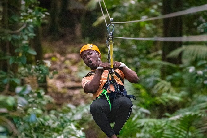 St. Lucia Rainforest Eco-Explorer: Aerial, Zip, and Hike Combo - Rainforest Trail Hike