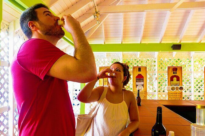 St Lucia Rum Distillery Tour & Mineral Bath Excursion - Who Should Consider This Tour?