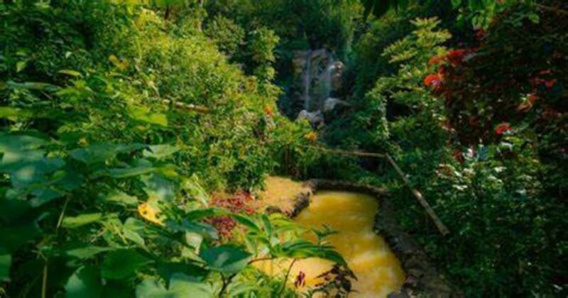 St. Lucia: Safi Estate, Volcano Waterfalls Experience - A Closer Look at the Experience