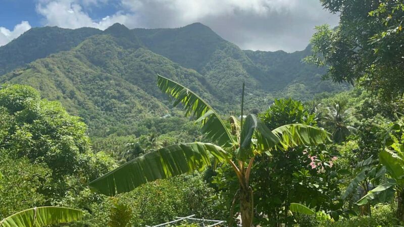 St. Lucia: Safi Estate, Volcano Waterfalls Experience - Authenticity and Value