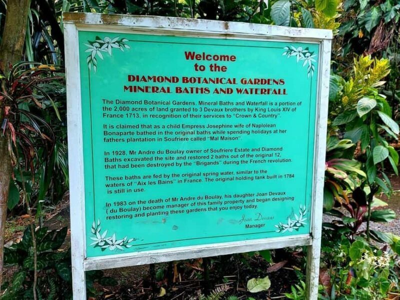 St. Lucia: Scenic Nature Hike & Botanical Garden Escape - Key Points