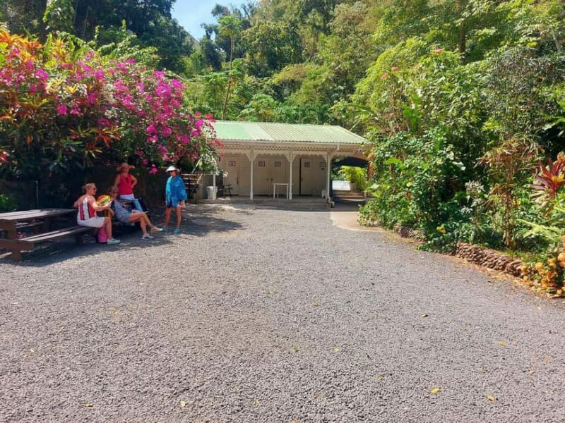 St. Lucia: Scenic Nature Hike & Botanical Garden Escape - An In-Depth Look at the Tour Experience