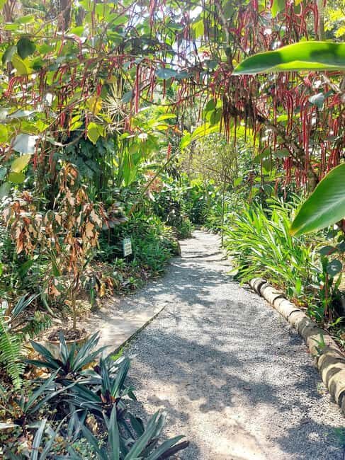 St. Lucia: Scenic Nature Hike & Botanical Garden Escape - Price and Value