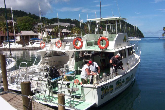 St Lucia Snorkeling Tour With Lunch - Transportation and Accessibility