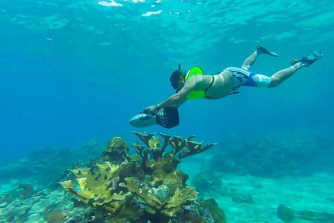St. Lucia Speedboat and Power Snorkel From Castries - Key Points