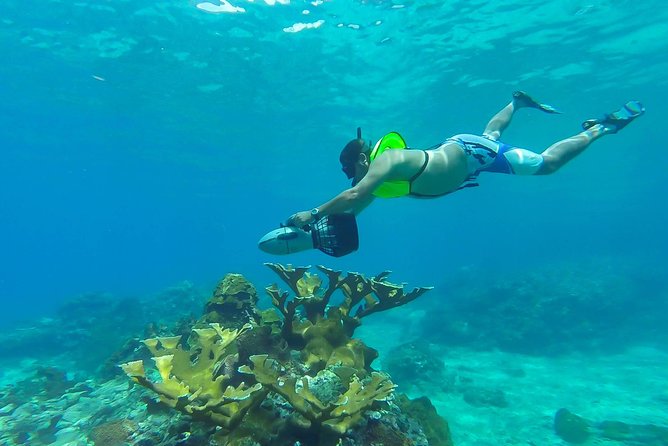 St. Lucia Speedboat and Power Snorkel From Castries - Highlights
