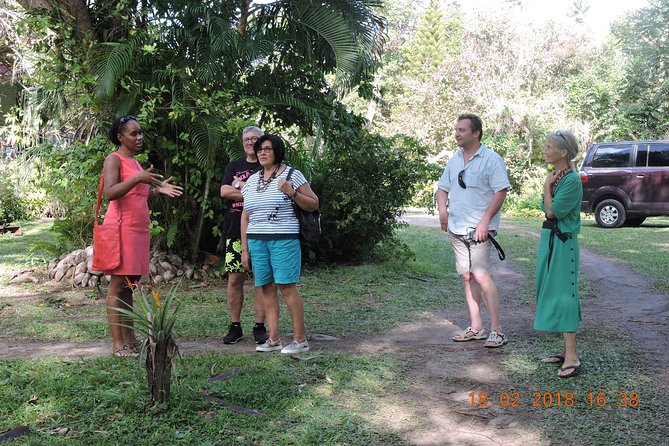 St Lucia Sundays Tour - Itinerary Highlights