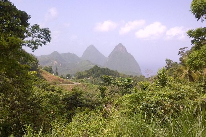 St. Lucia Tet Paul Nature Trail Tour - Highlights of the Experience