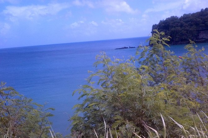 St. Lucia Tet Paul Nature Trail Tour - Scenic Views and Attractions