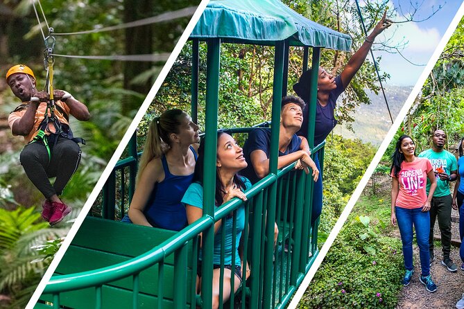 St Lucia Ultimate 3: Aerial Tram, Zipline and Hiking at Rainforest Adventures - Guest Reviews and Feedback