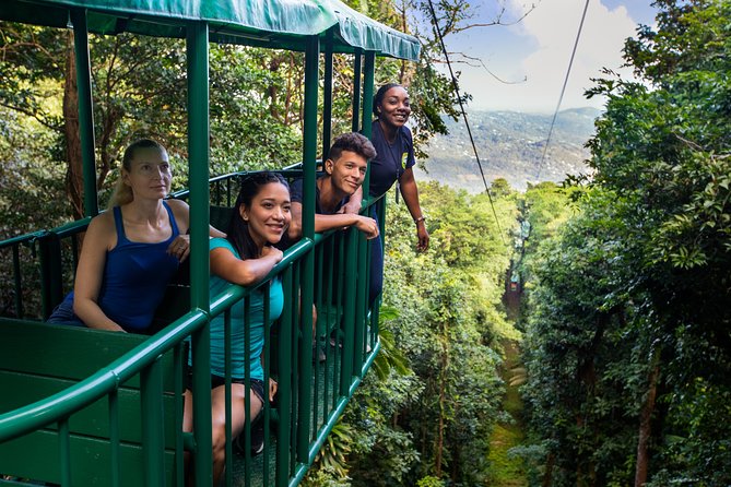 St Lucia Ultimate 3: Aerial Tram, Zipline and Hiking at Rainforest Adventures - Thrill of the Zipline Course