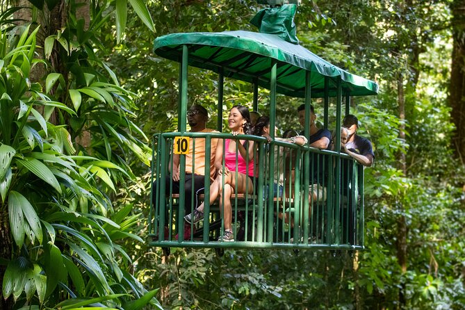 St Lucia Ultimate 3: Aerial Tram, Zipline and Hiking at Rainforest Adventures - Guided Hike With Naturalist