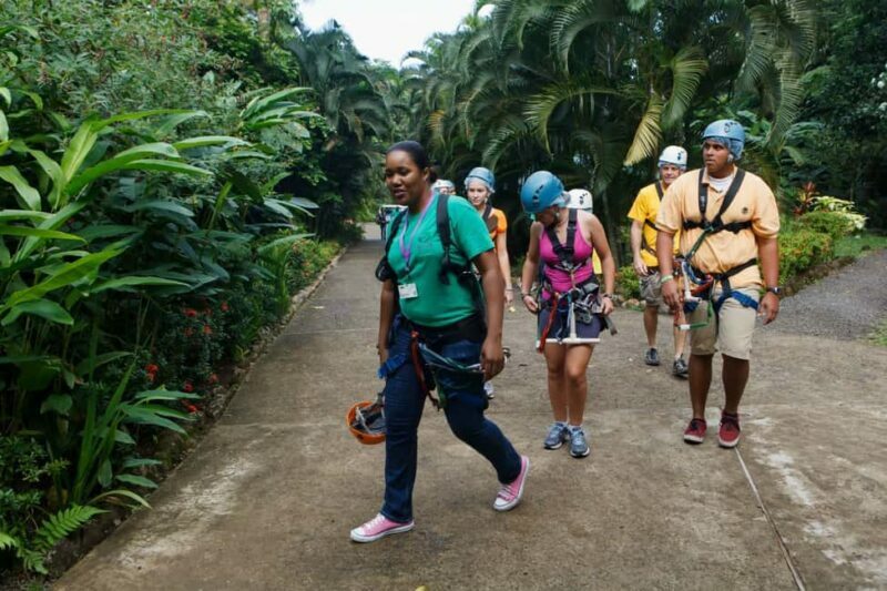 St Lucia Ultimate 3 Package: Aerial Tram Zip Line & Hiking - What Makes This Tour Stand Out?