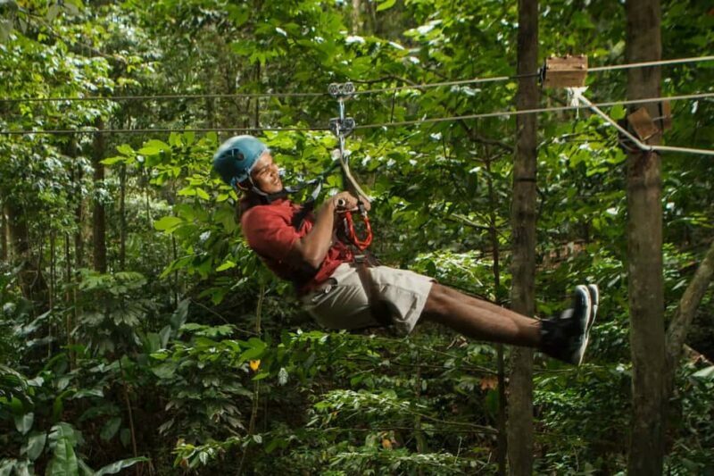 St Lucia Ultimate 3 Package: Aerial Tram Zip Line & Hiking - Practical Details