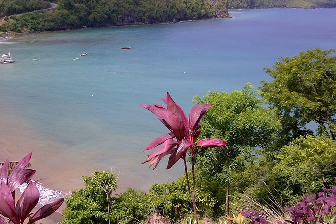 St. Lucia Volcano Tour Groups Only - Pickup and Meeting