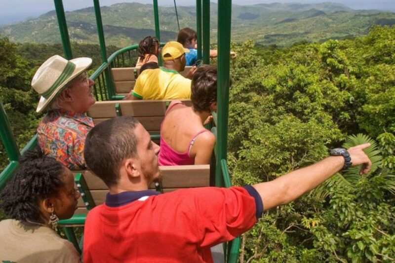 St. Lucia: Zip Line, Aerial Tram, and Hiking Tour - Aerial Tram Experience