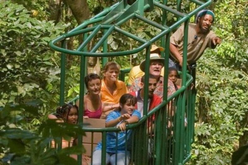 St. Lucia: Zip Line, Aerial Tram, and Hiking Tour - Zipline Adventure