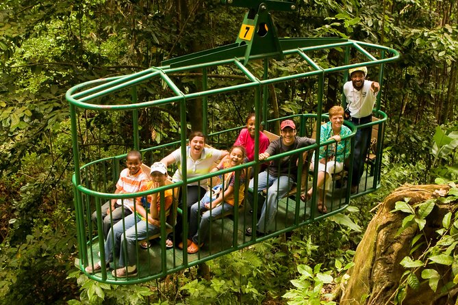 St. Lucia Zip Line, Aerial Tram and Hiking Tour Ultimate 3 - Thrilling Zipline Experiences