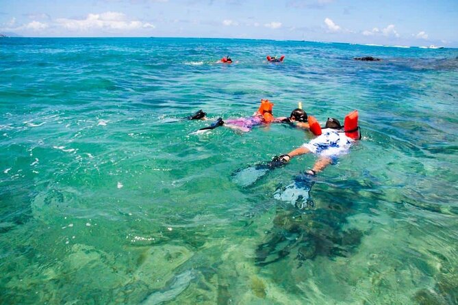 St Maarten Boat Tour With Lunch, Drinks, & Snorkeling Gear - Customer Feedback