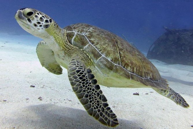 St Maarten Discover Scuba - Age and Health Requirements