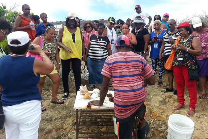 St Maarten Excursion: Island Sightseeing + Beach & Shopping. - Highlights of the Tour