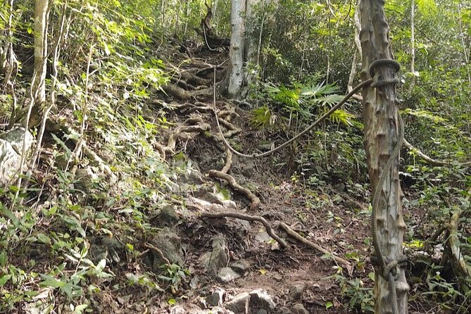 St Maarten Hike Tour - Overview of the Tour
