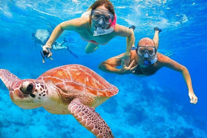 St.Maarten Nature, Hike & Snorkeling - Key Points