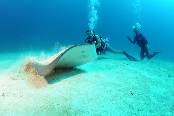 St Maarten Scuba Diving for Certified Divers - Inclusions and Meeting Information