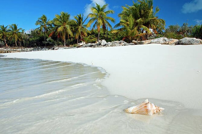 St Maarten Shore Excursion:Sights, Shopping & Sand Small Group Tour - Tour Schedule
