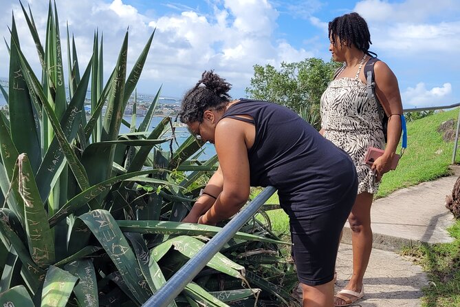 St.Martin/St.Maarten Magical Tour - Discovering St. Maartens Natural Wonders