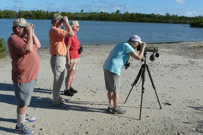 St.Martin - St.Maarten: Small Group, Birding Tour / Bird Watching Tour - Highlights of the Tour