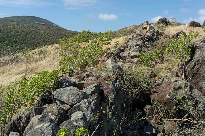 St.Martin - St. Maarten: Small Group, Coastal Hike & Swim Tour - Snorkeling in Calm Bay Waters