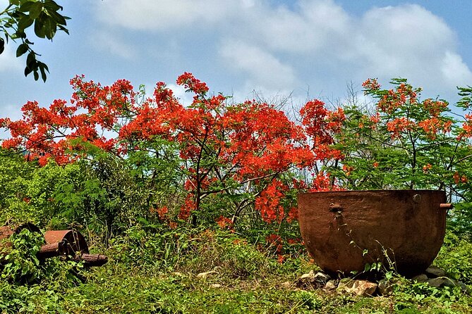 St. Martin - St. Maarten: Small Group, History Tour - Cultural Traditions and Landmarks