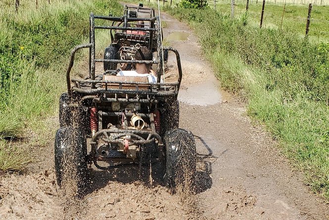 St. Marys Mud Buggy Experience - Safety and Improvements